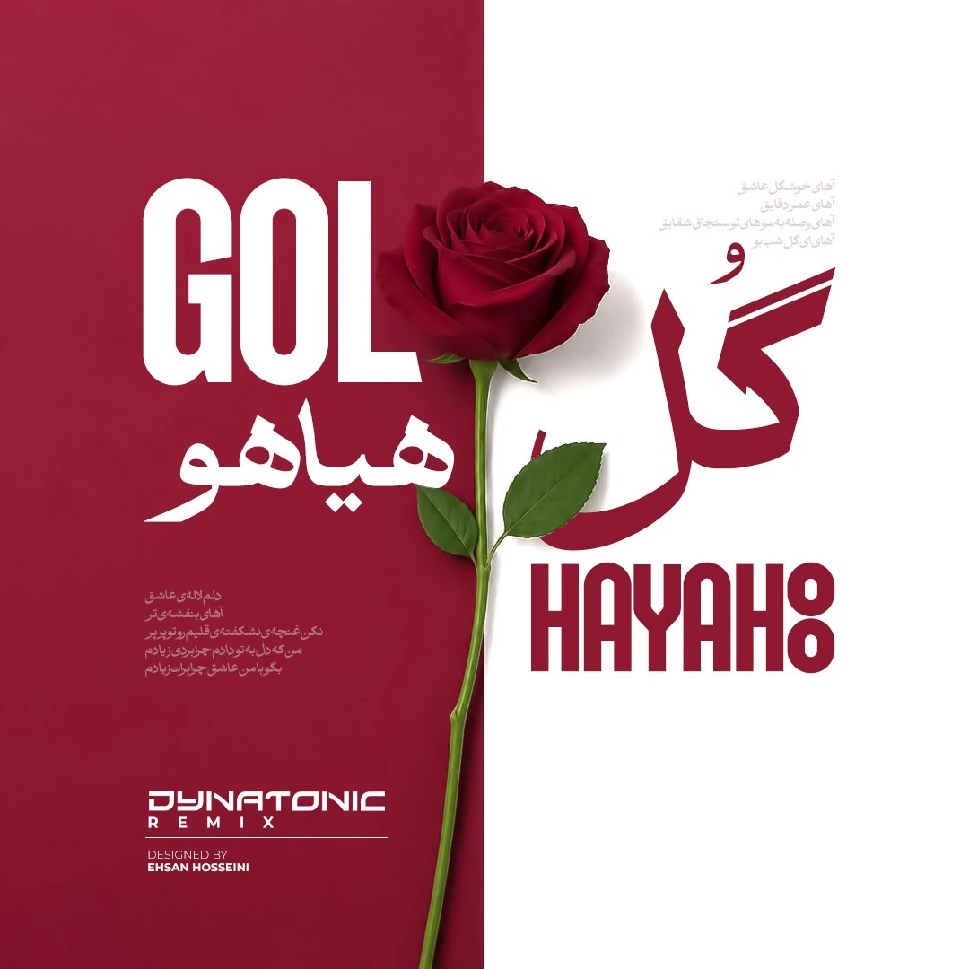 Cover artwork for Gole Hayahoo (dynatonic Remix) by Fereydoun Asraei